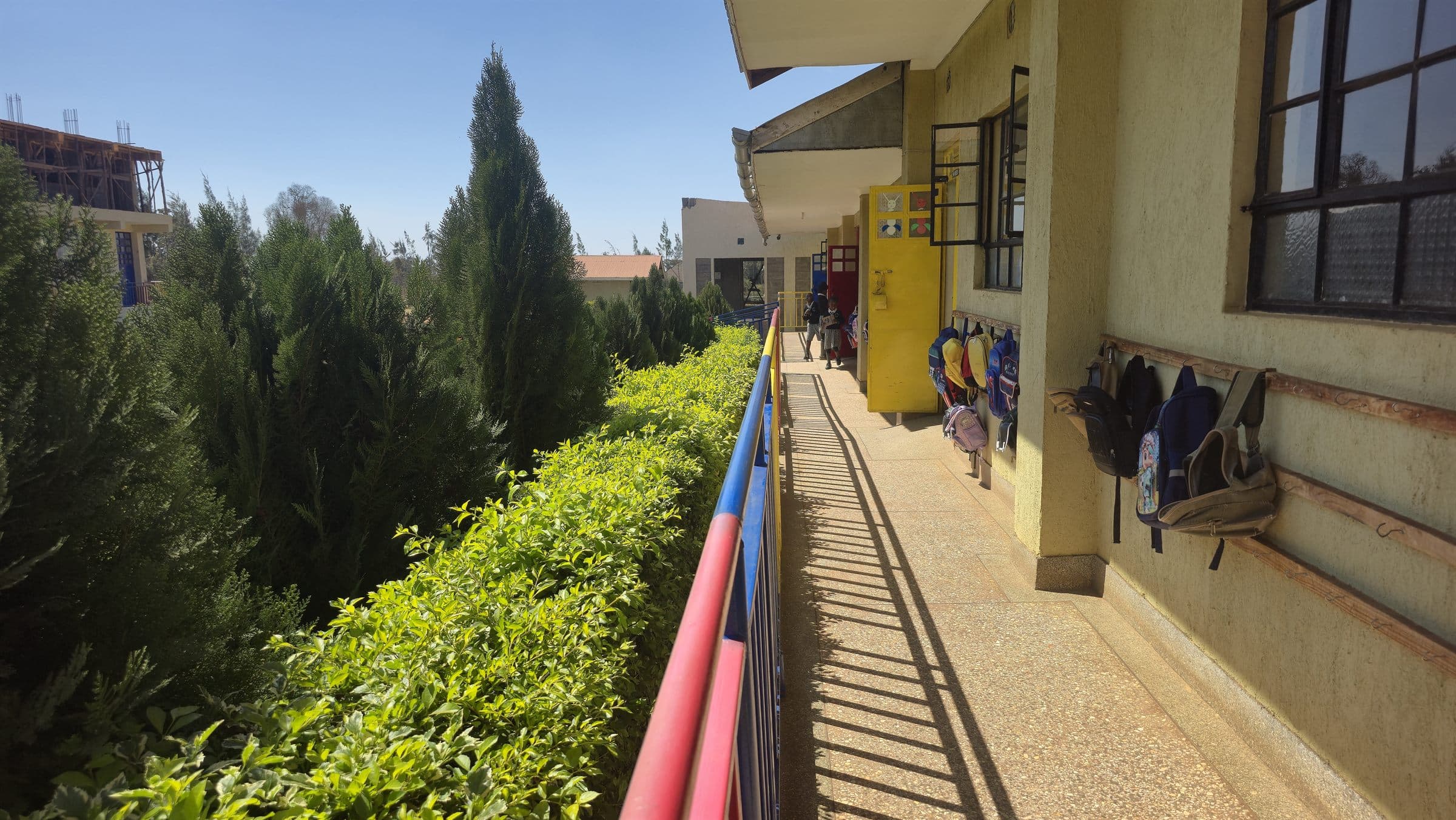 Tall cypress trees and green hedges lining the pathway beside the Oak Leaf Academy classrooms.